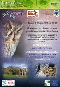 2015_06_06_LibelluleAzzurre