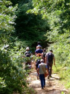 Ecoturismo escursioni Life autore stefanopicchi (1)