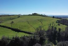 Come raccontare il territorio, parte 1 L'AUTORE Marco Pastonesi (Genova, 1954), ex giocatore di rugby di serie A e B, ha lavorato per ventiquattro anni alla «Gazzetta dello Sport». Ha seguito diciotto Giri d’Italia, dieci Tour de France e un’Olimpiade, oltre a quattro Giri del Ruanda e uno del Burkina Faso. Per questa avventura ha deciso di scendere dalla bici. Località: Cerveteri MANGIAREDORMIREFARE Visualizza la mappa Ti interessano i viaggi a piedi? Scopri la sezione dedicata! Registrati per rimanere sempre informato Acquista le nostre guide e carte The Via Francigena in Northern Lazio Itinerari a piedi Lazio 1:200 000 Carte regionali 1:200.000 La Via Francigena nel nord del Lazio Itinerari a piedi Eventi Roma: "Le Terme di Diocleziano" Roma: Videoconferenza "Claudio Abbado" Roma: Videoconferenza "Le maschere inquiete" Roma: Mostra "Klimt. La Secessione e l'Italia"