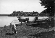 Come raccontare il territorio, parte 3 LE TAPPE DEL VIAGGIO Anguillara / foto Contrasto
