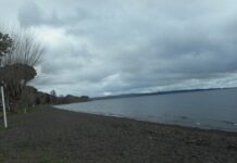 La sabbia nera, la pittura di molti artisti