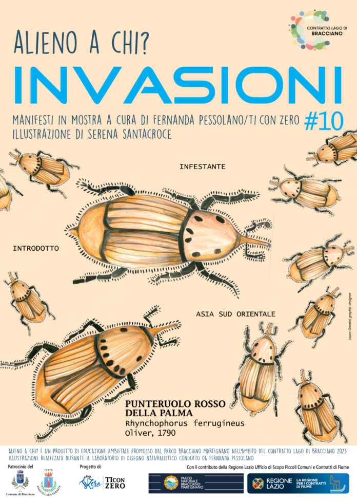 Punteruolo_Santacroce