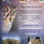 2015_06_06_LibelluleAzzurre