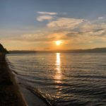 WhatsApp Image 2020-07-17 at 15.16.50 (1)