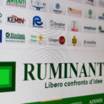 ruminantia-rivista
