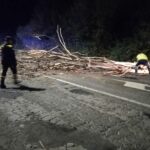 370268901_649327817296650_507966654979889250_n