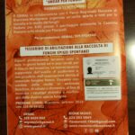 Immagine WhatsApp 2023-09-17 ore 08.49.001