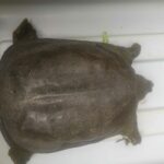 3ead326b-235f-47d9-91bd-9fb498f11ebd