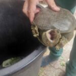 8993cac9-dd8d-43e0-a60e-984807e5def0