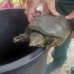 ab604fce-bf54-4f11-a5ab-faf5089187f1