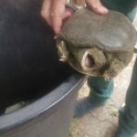 c8809739-6846-40e5-9cad-9063ad087eeb