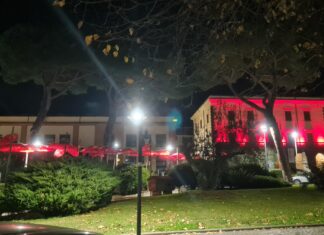 Passata la giornata internazionale, Trevignano Romano non dimentica l’impegno ALLESTIMENTO Trevignano