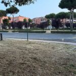 bracciano-manutenzione verde-giugno25-4