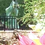 2 1 fra sogno e ricordo