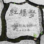 8 Tongli titolo romanzo classico Il sogno dela stanza rossa