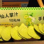 9 s5 pizze fico d’India