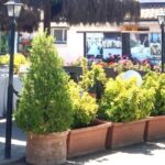 FOTO ALFREDO PERSICHELLA