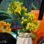 Fiori e piante – Cassia