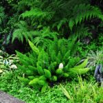 Fiori e piante – Decoro urbbano