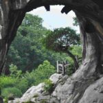 Guilin Roccia elefante che si abbevera