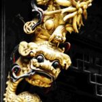 Hangzhou interno farmacia