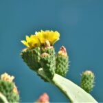 487492913_9684943438237117_1489513158546032501_n