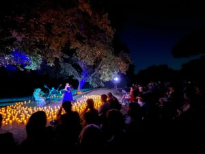 lucevan le stelle art festival