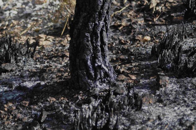 esti dopo il fuoco sulla montagne