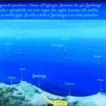 ap panchina blu carttina di osservazione