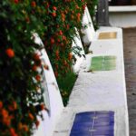 ap panchina per vista sul mare