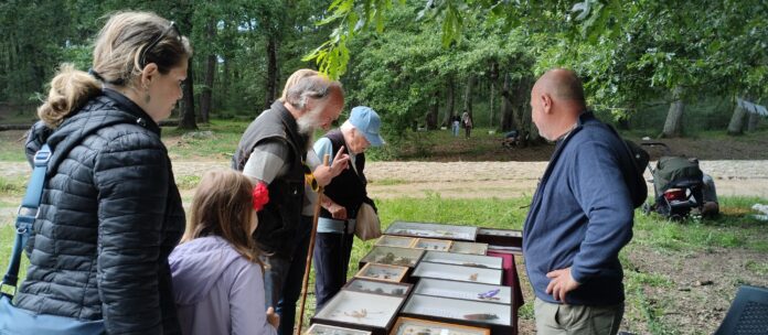 foto giornata della scienza
