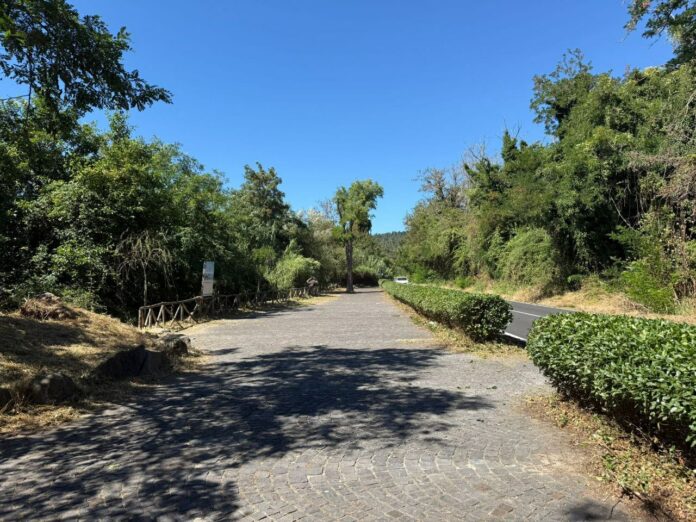 il parco del lago di Martignano