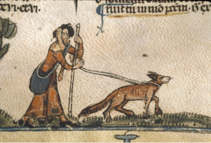 giornata nazionale cani guida