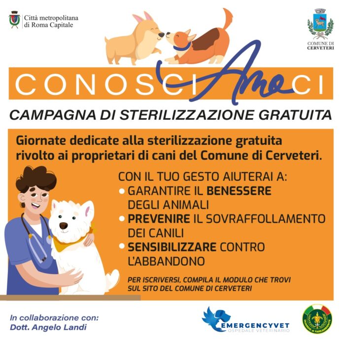 Il progetto del comune di Cerveteri