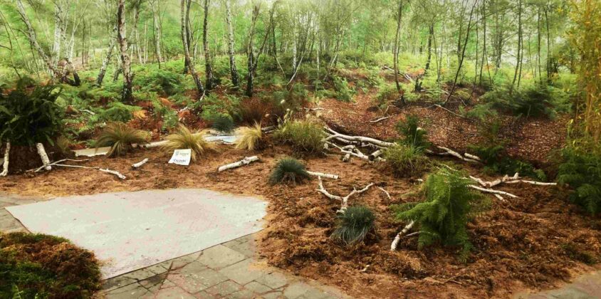 Mostra del fungo e delle erbe spontanee