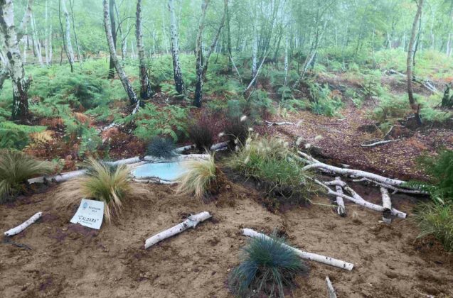 Mostra del fungo e delle erbe spontanee