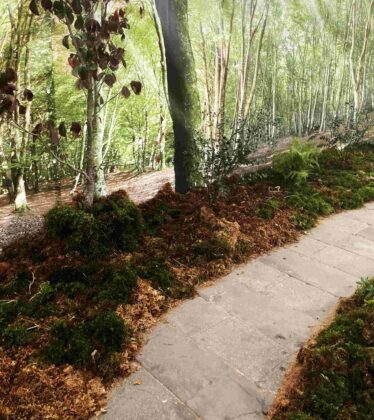 Mostra del fungo e delle erbe spontanee