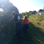 VENDEMMIA SALVO D’ACQUISTO