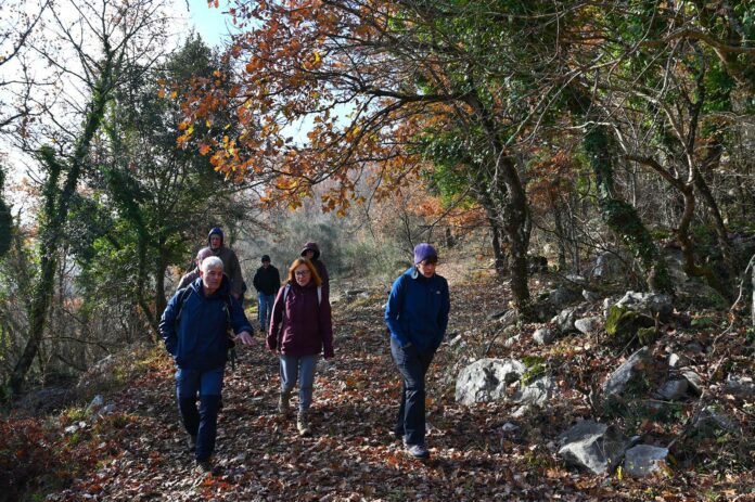 Mnemosine tra Ciciliano e Tivoli