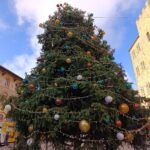 albero di natale piazza