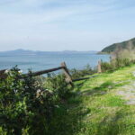 belvedere la sedia-2