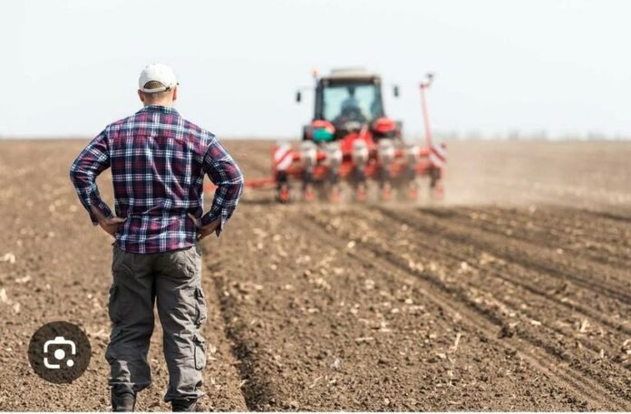 assegnazione terreni agraria ad Anguillara