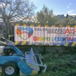 Manifesto Salvaguardiamo Bracciano
