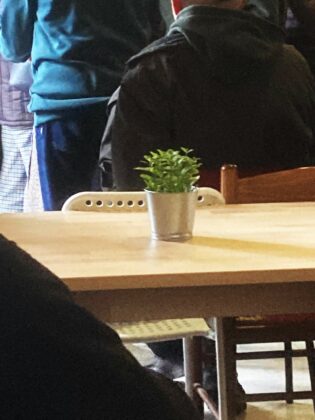 Centro anziani Anguillara Sabazia