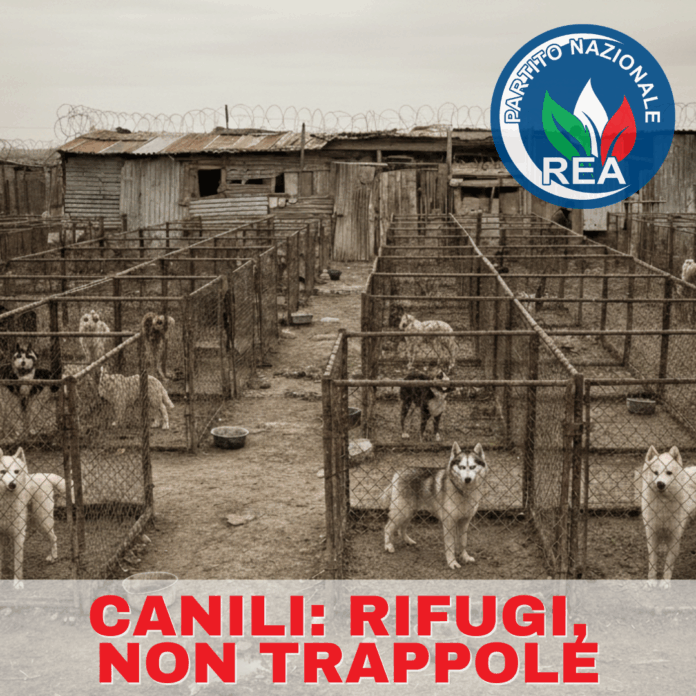 REA basta canili lager