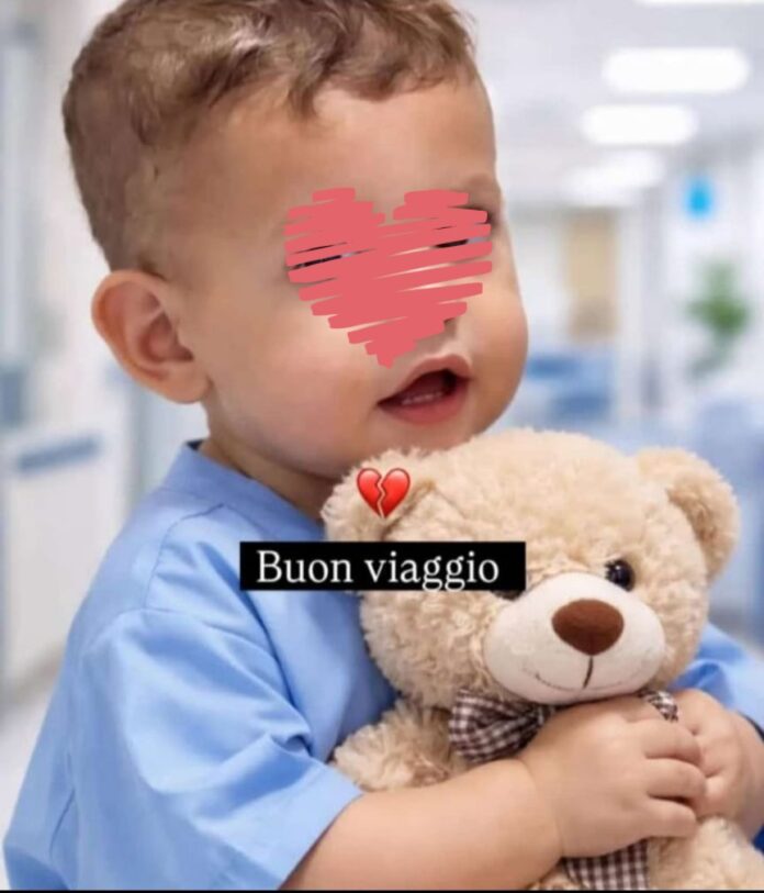 Domenico, il piccolo deceduto a seguito di trapianto sbagliato