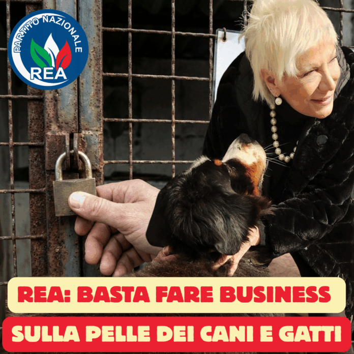 Gabriella Caramanica, REA