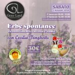 locandina capra e cavoli da graceland 2 maggio