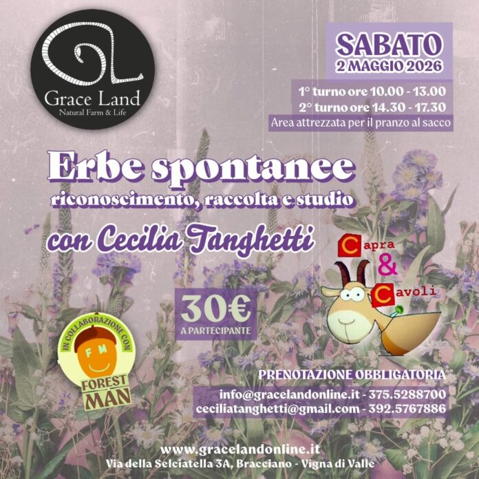 Corso di erbe spontanee a Canale Monterano