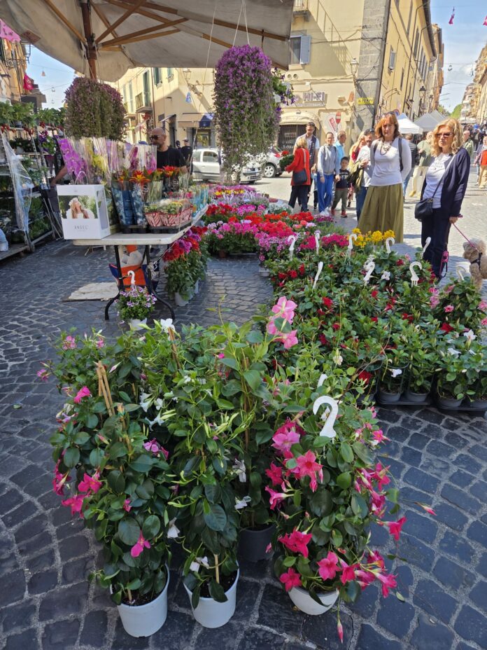 festa di primavera1